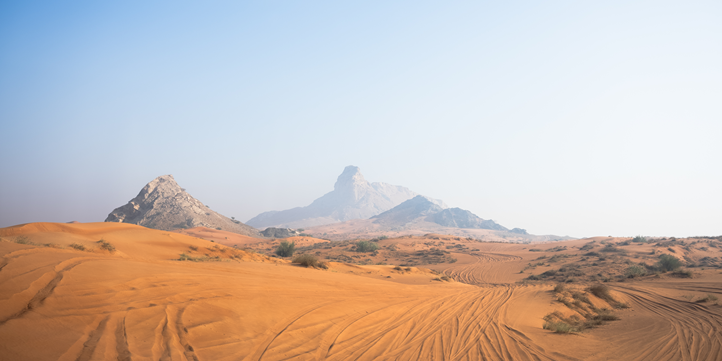 Тур на багги с ужином в Дубае