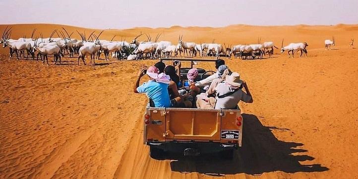 Люкс-сафари по пустыне Дубая
