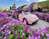 Билет Dubai Miracle Garden