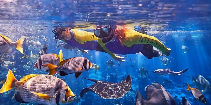 Aquaventure World в Дубае