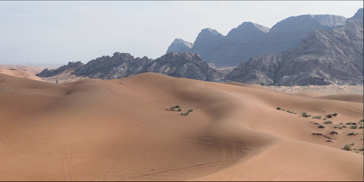 Тур на багги с ужином в Дубае