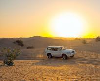 Private Morning Desert Safari