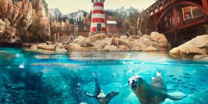 Парк SeaWorld c трансфером