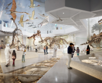 Natural History Museum Abu Dhabi Tickets