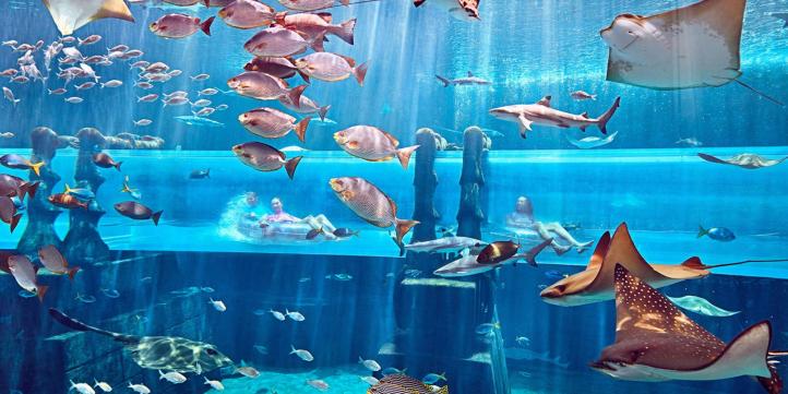 Аквапарк Aquaventure в Дубае