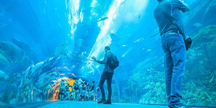 Дубайский аквариум и подводный зоопарк