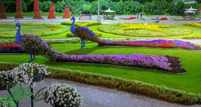 Парк цветов Дубай