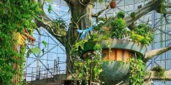 The Green Planet Tickets