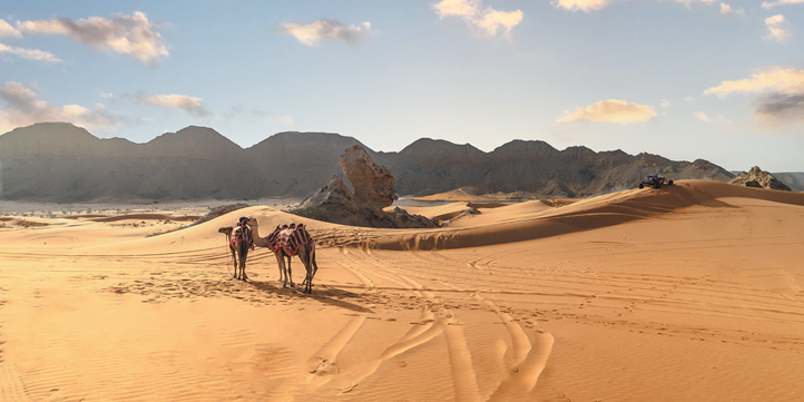 Тур на багги с ужином в Дубае