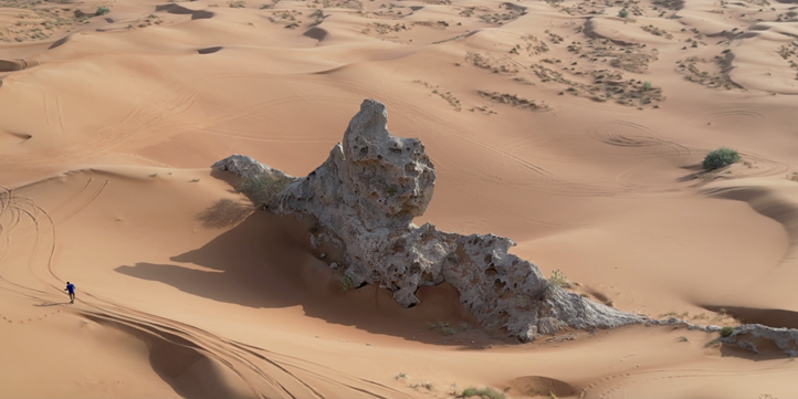 Тур на багги с ужином в Дубае