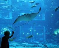 The Lost Chambers aquarium