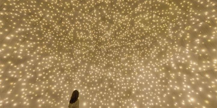Тур в teamLab Phenomena и парки острова Yas