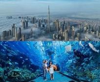 Combo ticket Burj Khalifa and Dubai Aquarium