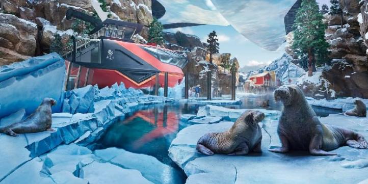 Парк SeaWorld c трансфером