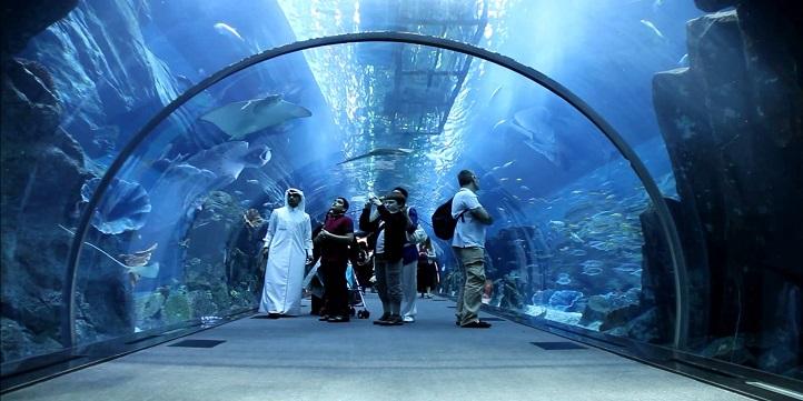 Удивительный рифовый аквариум HD видео • Орфек