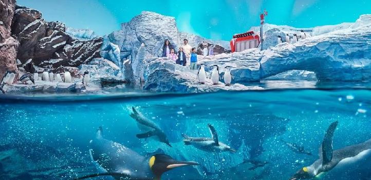 Парк SeaWorld c трансфером