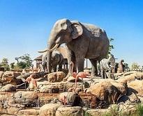 Билеты в Дубай Сафари Парк