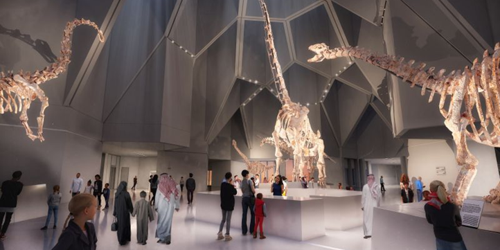 Natural History Museum Abu Dhabi Tickets
