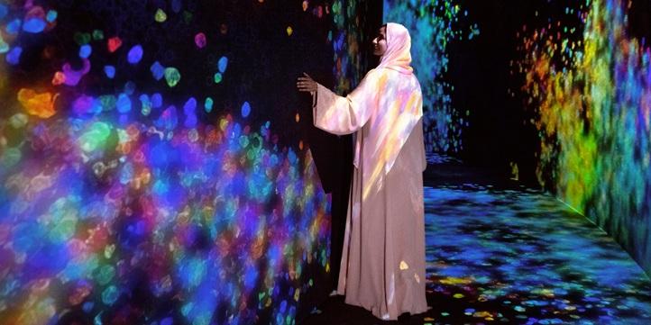 Тур в teamLab Phenomena и парки острова Yas